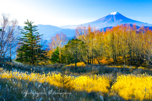 20151025-harasuriyama088k3